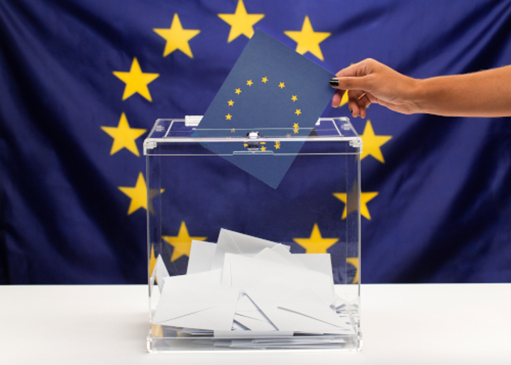 Immagine che raffigura Partecipazione al voto per le elezioni comunali dei cittadini dell’Unione europea residenti in Italia
