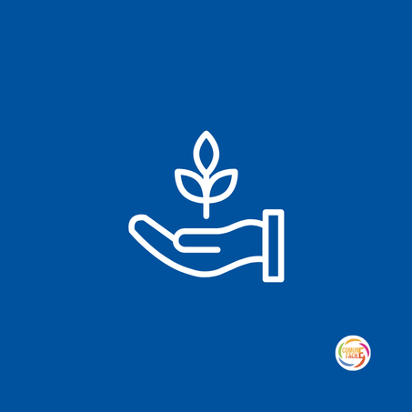 Domenica 10 maggio 2026